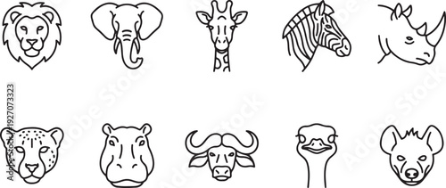 Wild animal faces vector illustration, flat design, safari icons