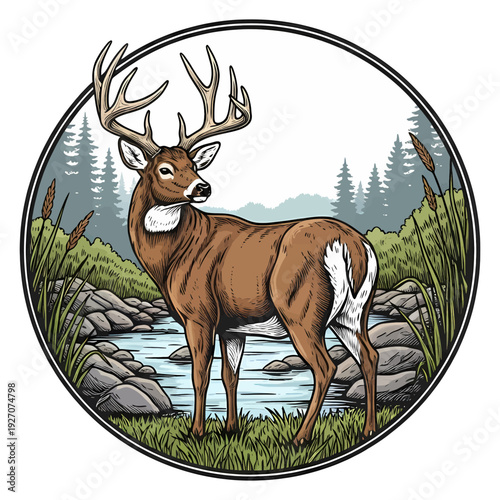 Hand drawn whitetail deer buck in nature forest river landscape round emblem vintage vector style