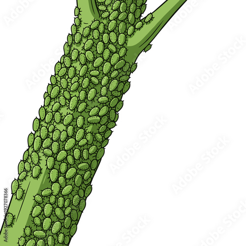 Macro closeup of aphid infestation covering green plant stem texture concept of agricultural pest problem and crop damage