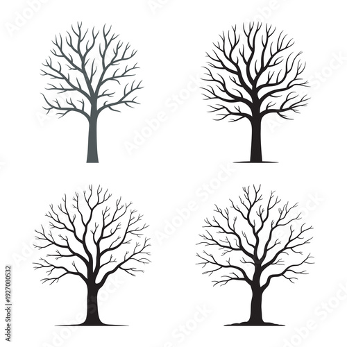 Leafless oak tree silhouettes collection for winter landscape design