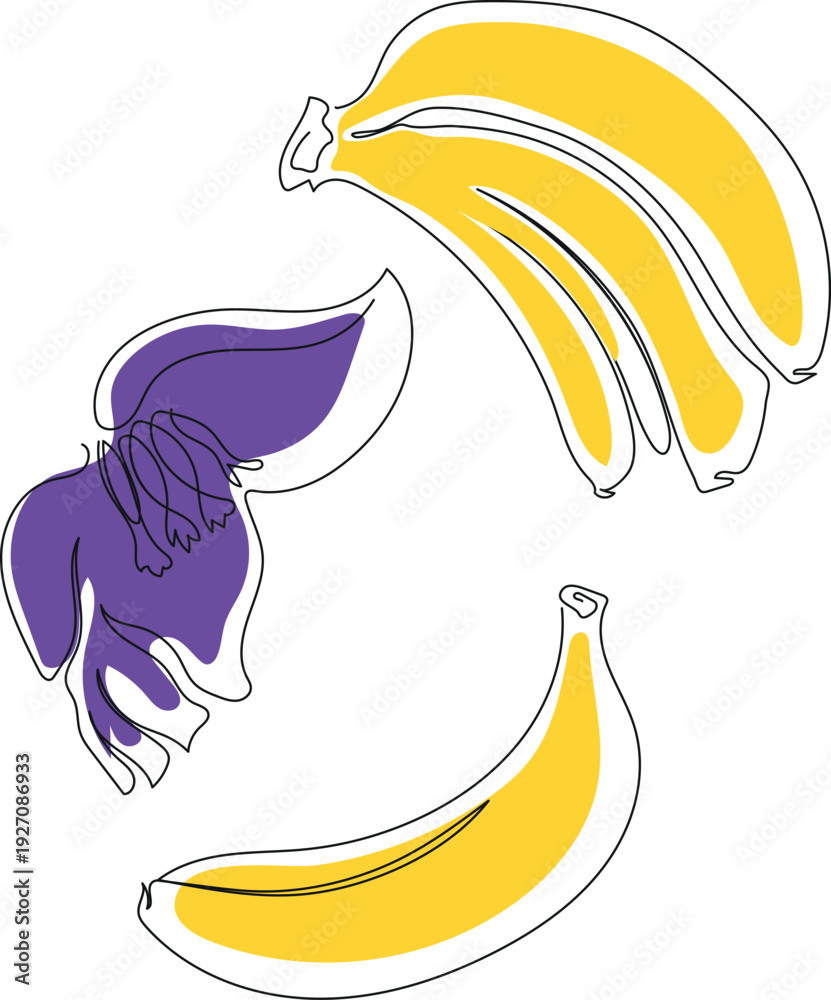 Fototapeta premium Bananas and banana flower in line art isolated on white background