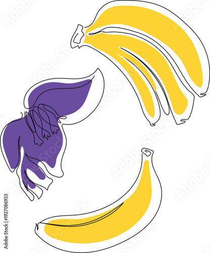 Bananas and banana flower in line art isolated on white background
