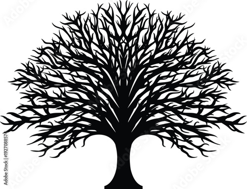 Symmetrical black silhouette of a bare leafless tree with spreading branches, vector illustration isolated on white background