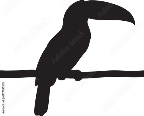 Toucan on branch in silhouette on white background.