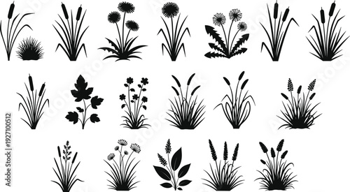 Grass and wild plants silhouette set meadow reeds flowers botanical vector collection