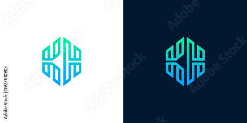 Sleek geometric hexagonal logo design with a modern gradient effect, perfect for technology, digital, and data-focused businesses aiming for a sophisticated brand identity