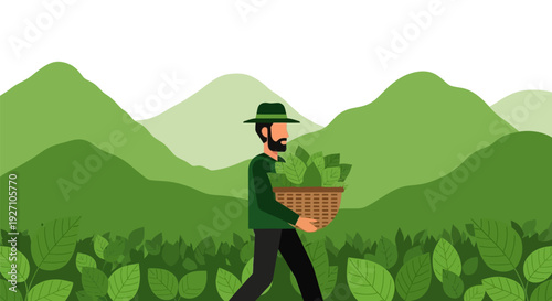 Man harvesting plants in a green mountainous landscape.