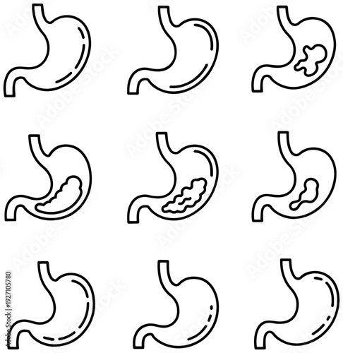 Detailed stomach anatomy illustrations for medical education and health resources