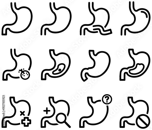 Stomach anatomy illustrations with various medical symbols and markings