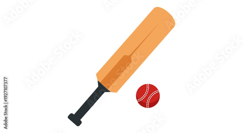 Cricket bat and ball vector