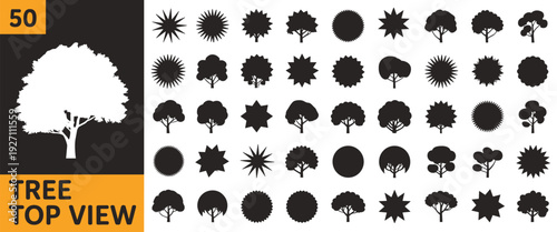 Set of fifty tree top view silhouettes for landscape architecture plan, aerial garden map plant vector icons isolated on white background.