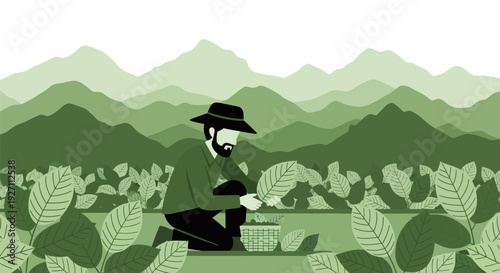 Man kneeling in tea plantation with mountains in background.