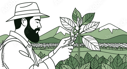 Farmer inspecting a coffee plant in a lush green plantation.
