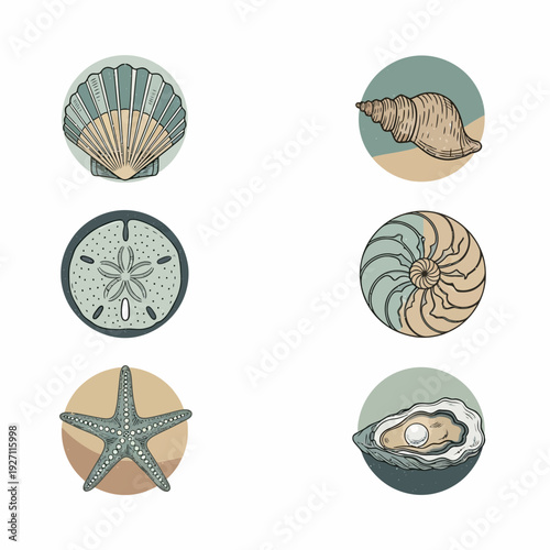 Collection of marine life illustrations seashells, starfish, sand dollar, and oyster with pearl
