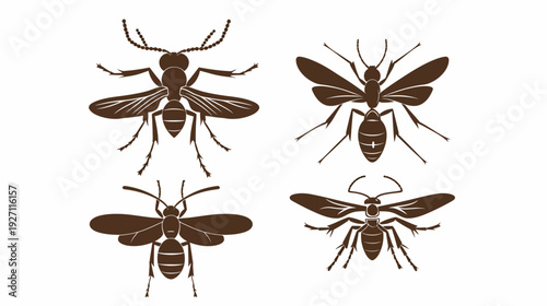 Brown insect illustrations, showing detailed bodies and wings, set against a stark white backdrop