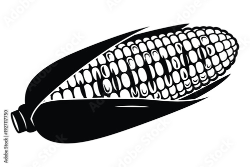 Vector illustration of a ripe ear of corn on white background