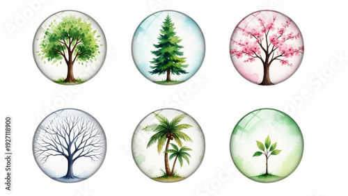 Watercolor 3D Glass Effect Trees Icon Set Collection of 6 Isolated on White Background