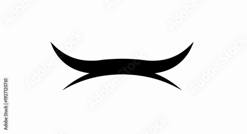 Black Mustache Isolated on White Background.