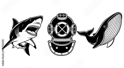 Dynamic Nautical Exploration & Marine Life Graphics