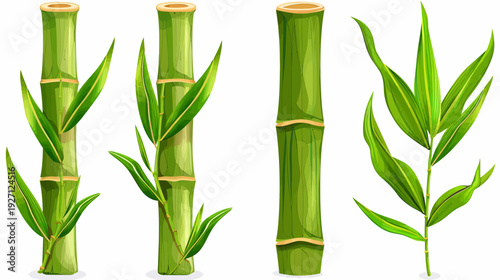 Detailed illustration of vibrant green bamboo stalks and leaves on a white background