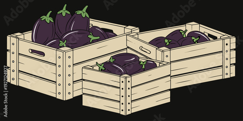 Four wooden crates, each filled with eggplants, are arranged across the image. The eggplants are deep purple, with a glossy sheen and green stems. The crates are made of light-colored wood, with visib