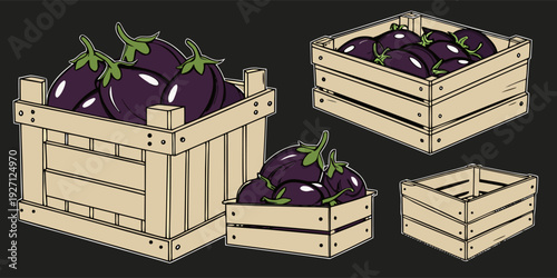 Four wooden crates, each filled with eggplants, are arranged across the image. The eggplants are deep purple, with a glossy sheen and green stems. The crates are made of light-colored wood, with visib