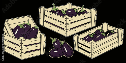 Four wooden crates, each filled with eggplants, are arranged across the image. The eggplants are deep purple, with a glossy sheen and green stems. The crates are made of light-colored wood, with visib