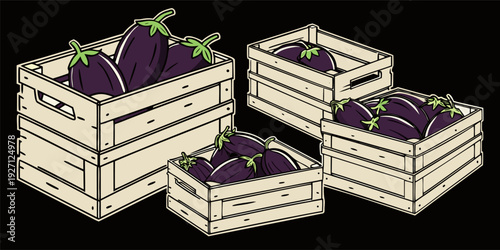 Four wooden crates, each filled with eggplants, are arranged across the image. The eggplants are deep purple, with a glossy sheen and green stems. The crates are made of light-colored wood, with visib