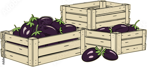 Four wooden crates, each filled with eggplants, are arranged across the image. The eggplants are deep purple, with a glossy sheen and green stems. The crates are made of light-colored wood, with visib