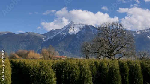 Mount Cheam during a winter season in Agassiz, Fraser Valley, British Columbia, Canada