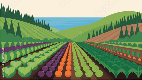 Coastal agricultural landscape with various vegetable crops planted in neat rows, with mountains and sea in background