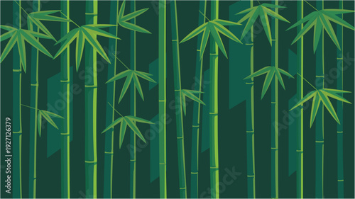 Green bamboo forest with leaves and shadows, Asian jungle nature background, zen and calm