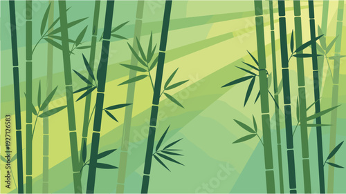 Lush bamboo forest illuminated by warm sunlight filtering through the dense green stalks and leaves