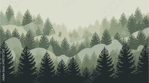 Misty pine tree forest landscape with mountains in background, natural outdoor scene with fog in evergreen woods