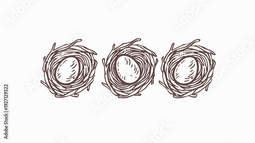 Three bird nests with eggs, drawn with a sketchy outline on a white background