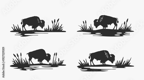 Four monochrome illustrations of bison silhouettes in grassy wetlands. Black and white nature scene