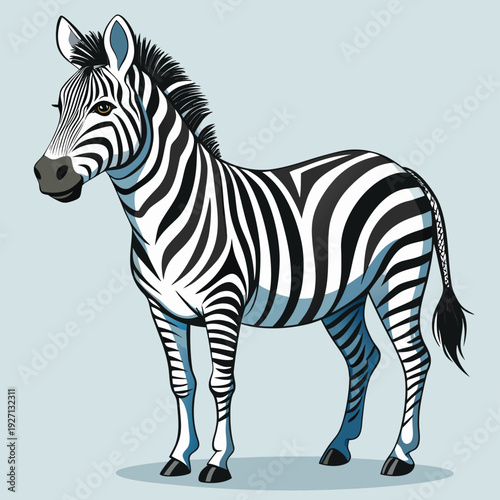 Create a highly detailed vector illustration of a zebra, with bold black and white stripes, showcasing its muscular build and natural elegance. The zebra should have intricate fur textures and precise