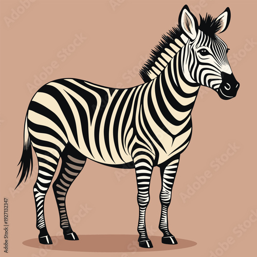 Create a highly detailed vector illustration of a zebra, with bold black and white stripes, showcasing its muscular build and natural elegance. The zebra should have intricate fur textures and precise