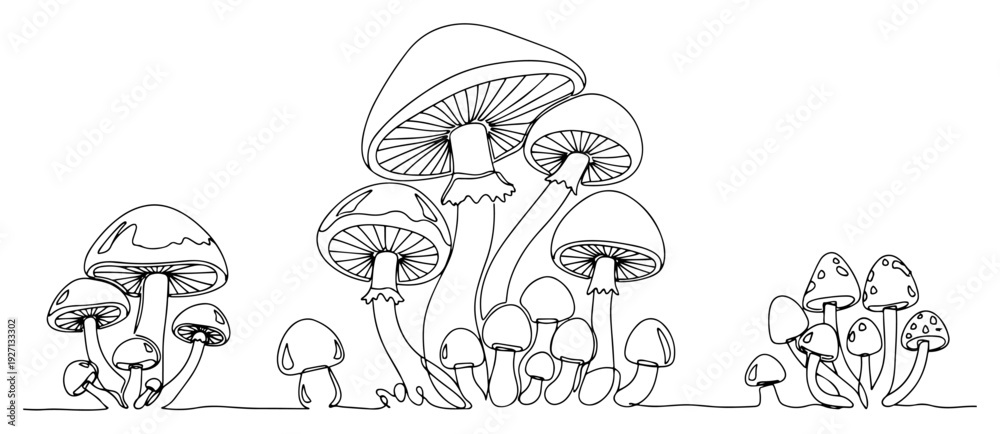 Obraz premium Single line art drawing of different types of forest mushrooms and fungi