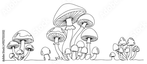 Single line art drawing of different types of forest mushrooms and fungi