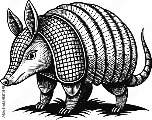 Create a detailed vector illustration of an armadillo in side profile, featuring segmented armored plates with intricate linework and fine texture. Use bold black outlines, high-contrast monochrome sh