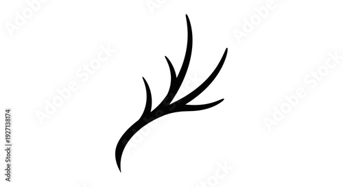 Black Bird Silhouette Isolated on White.