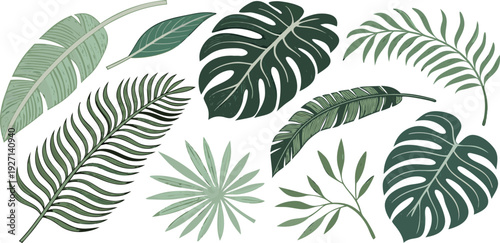 A watercolor illustration showcasing an assortment of tropical foliage. The composition features various types of leaves, including Monstera, banana leaves, ferns, palm fronds, and heart-shaped leaves
