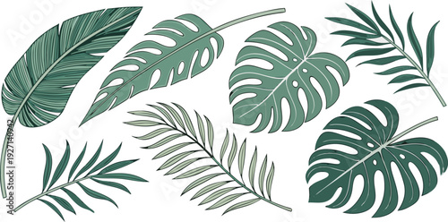 A watercolor illustration showcasing an assortment of tropical foliage. The composition features various types of leaves, including Monstera, banana leaves, ferns, palm fronds, and heart-shaped leaves