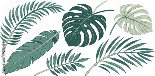A watercolor illustration showcasing an assortment of tropical foliage. The composition features various types of leaves, including Monstera, banana leaves, ferns, palm fronds, and heart-shaped leaves