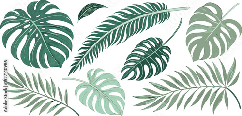 A watercolor illustration showcasing an assortment of tropical foliage. The composition features various types of leaves, including Monstera, banana leaves, ferns, palm fronds, and heart-shaped leaves