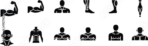 Collection of black and white icons representing various human muscle groups and body parts
