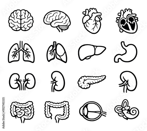 Human organ icons arranged in grid on dark background