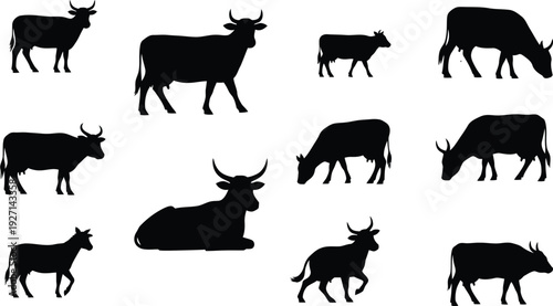 Collection of cow silhouettes in various poses