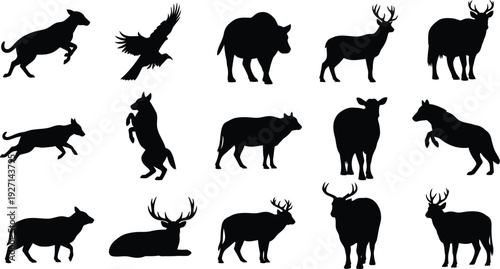 Collection of animal silhouettes on white background